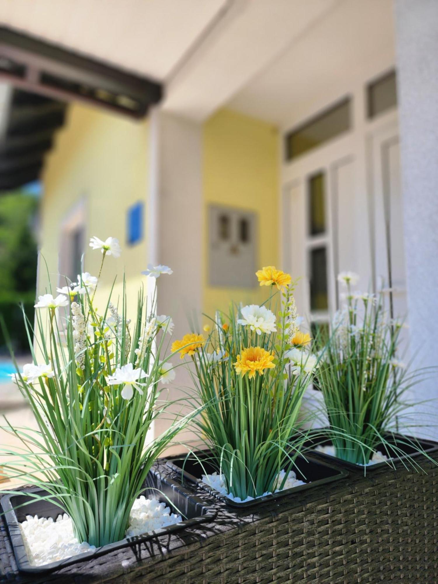 Villa Spa Magic Tuheljske Toplice Exteriör bild